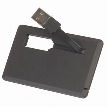 <b>Card USB Flash Drives-13</b>